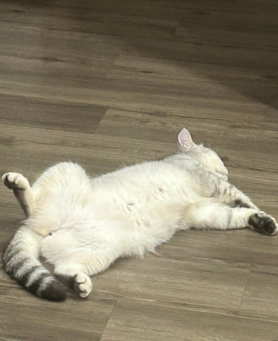 Luna sleeping~